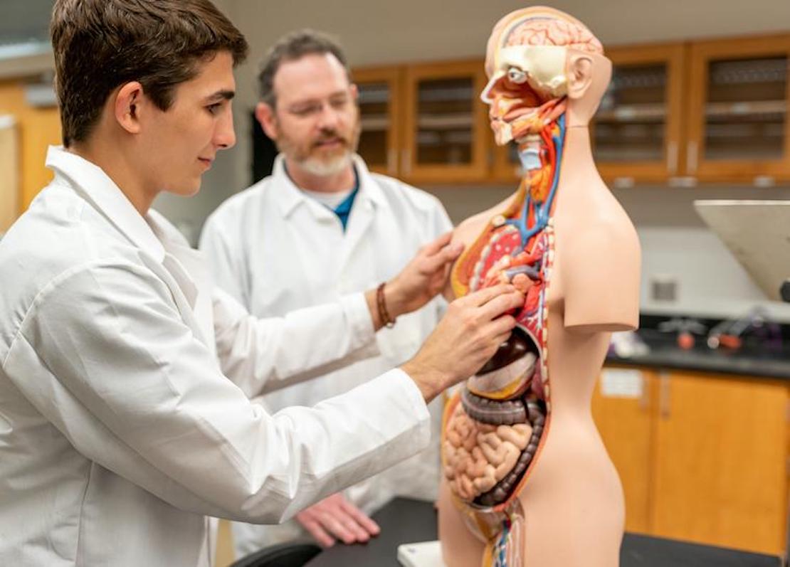 Student in medical lab