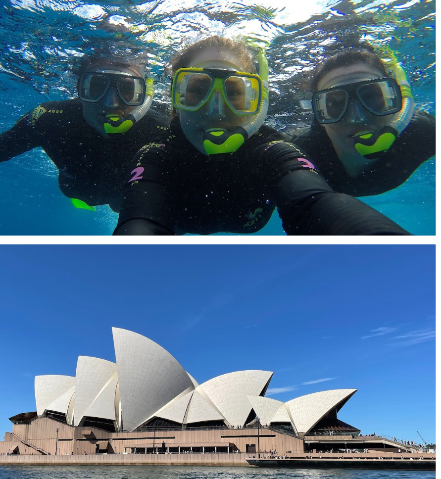 Sydney Opera House, Scuba Diving