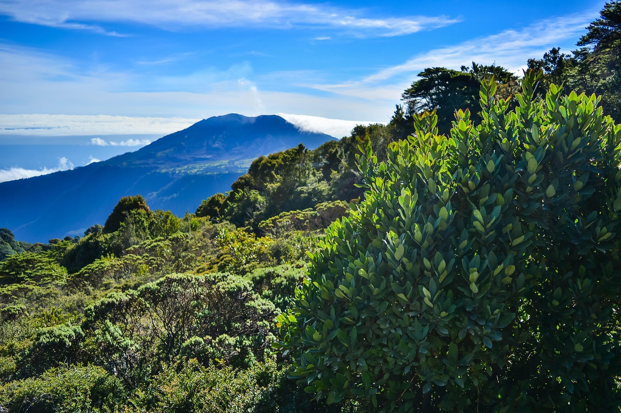 Costa Rica countryside