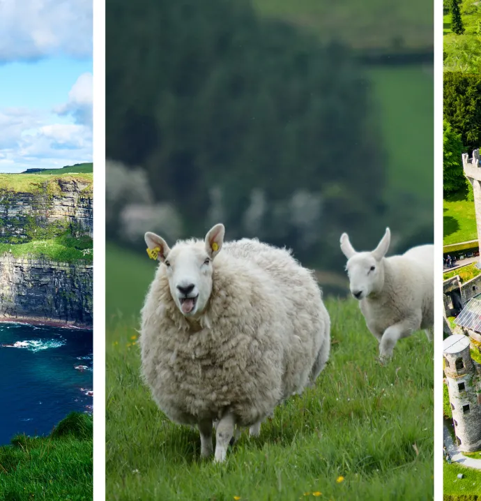 6 photos representing ireland (flag, skyview, coast, sheep, castle, and houses)