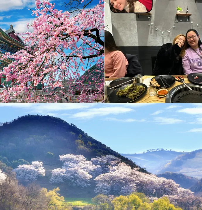 South Korea Banner of Pictures
